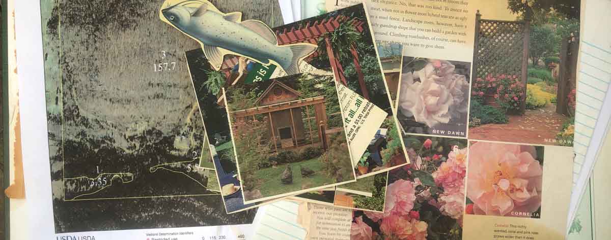 Hermit Diaries | May 2, 2020 | Wild Ozark